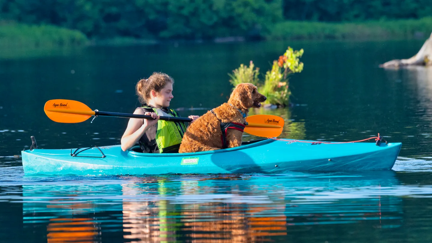 A kayaker paddling with her dog